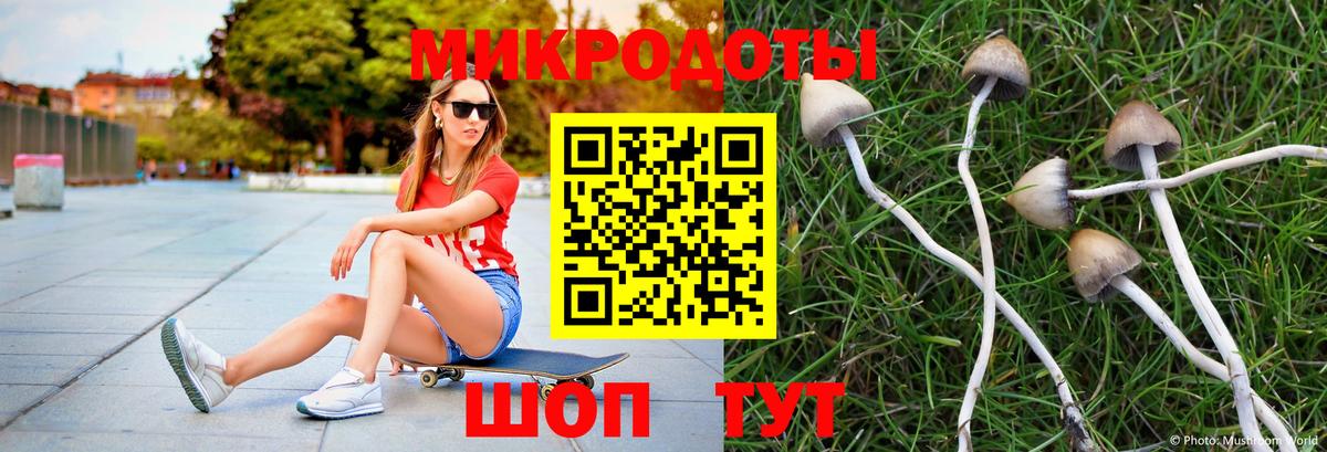 Галлюциногенные грибы Psilocybe  Вход с VPN  Энгельс 